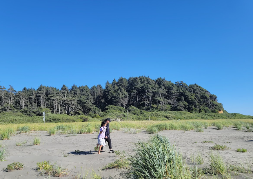 A sandy Washington beach backed by green trees beneath a clear blue sky